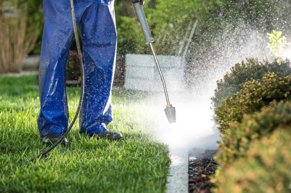Cost of Curb Cleaning in Los Gatos
