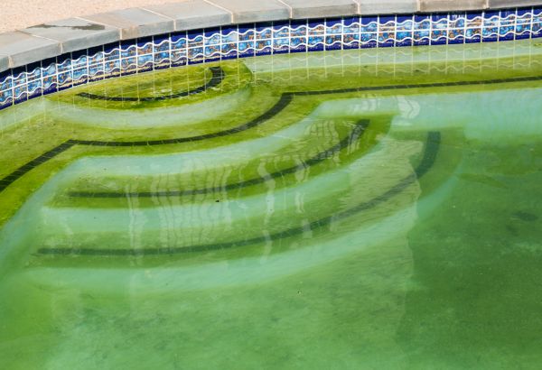 Pool Deck Algae Removal in Los Gatos