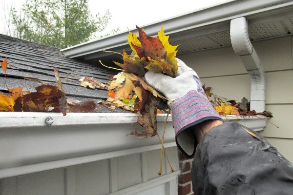 Cost of Eaves Cleaning in Los Gatos