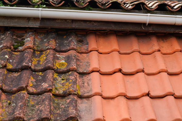 Industrial Roof Cleaning in Los Gatos